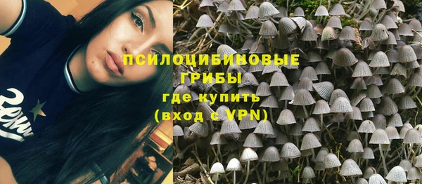 винт Богородицк