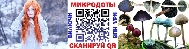 купить  цена  Каргат  Псилоцибиновые грибы MAGIC MUSHROOMS 